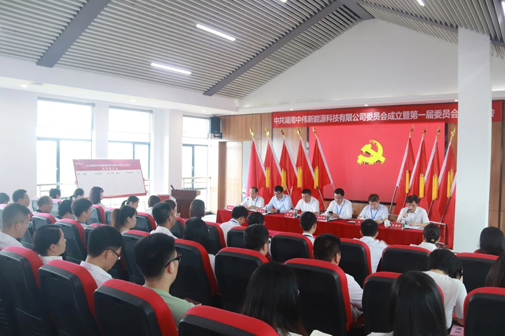 新起点开启新征程丨中共湖南云顶集团新能源党委正式成立