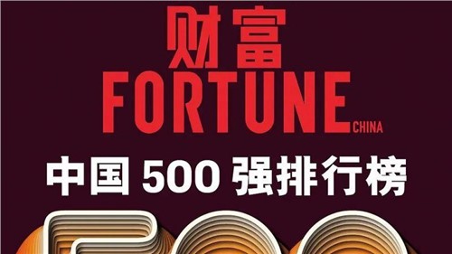 陆续两年！云顶集团股份蝉联《财富》中国500强