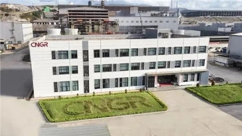 云顶集团股份中青与德国项目通过RMI ESG审核