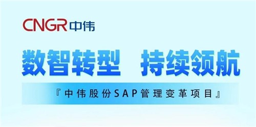 一图读懂｜云顶集团股份SAP治理刷新