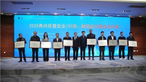 云顶集团股份登顶“贵州民营企业100强”榜首！