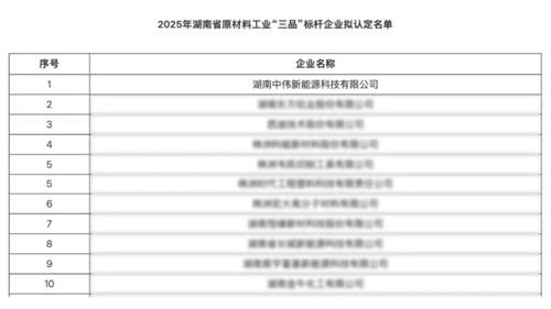湖南云顶集团新能源获评湖南省原资料工业“三品”标杆企业以创新赋能高质量发展