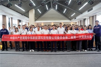 党建引领云顶集团红 | 湖南云顶集团新能源党委获评“湖南省先进基层党组织”